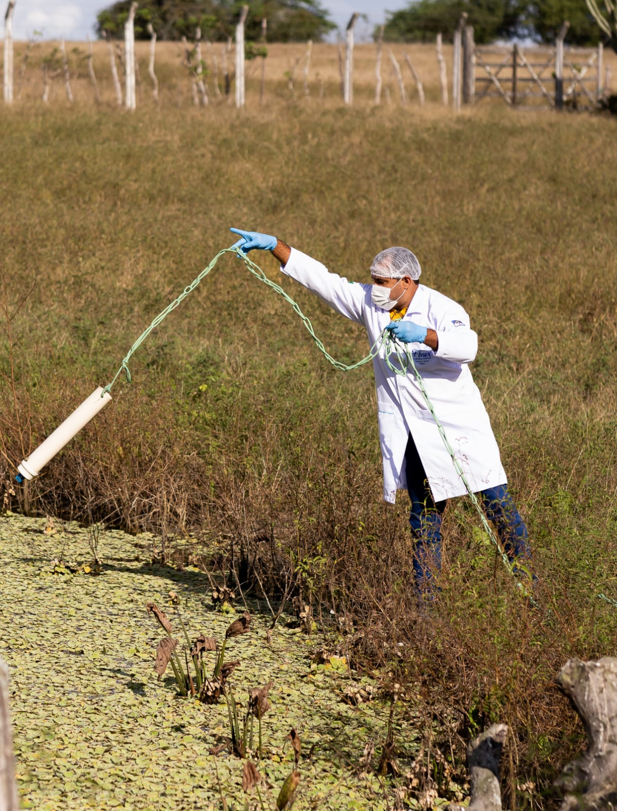 Coleta técnica de amostra em área ambiental
